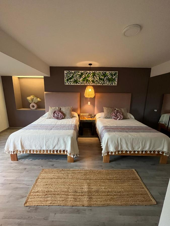 Zen Suites By Regente Oaxaca Dış mekan fotoğraf