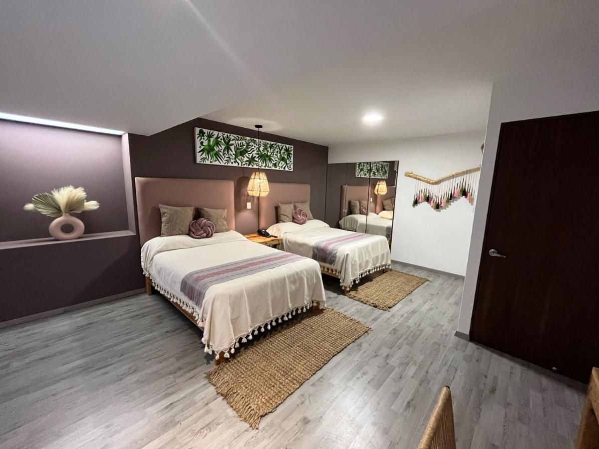 Zen Suites By Regente Oaxaca Dış mekan fotoğraf