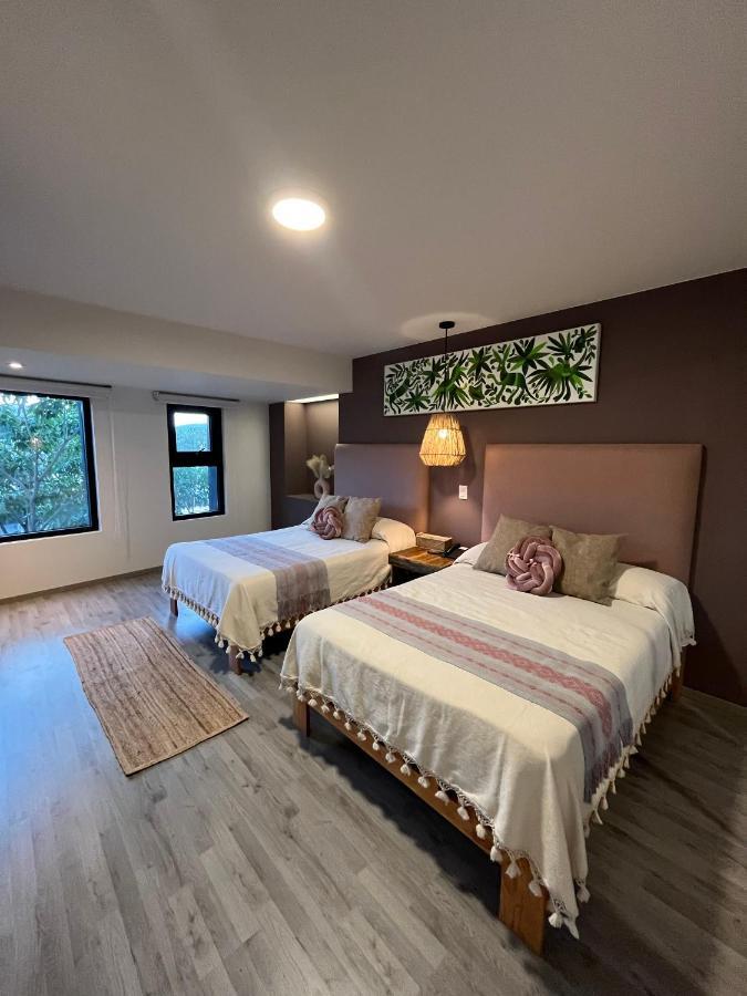 Zen Suites By Regente Oaxaca Dış mekan fotoğraf