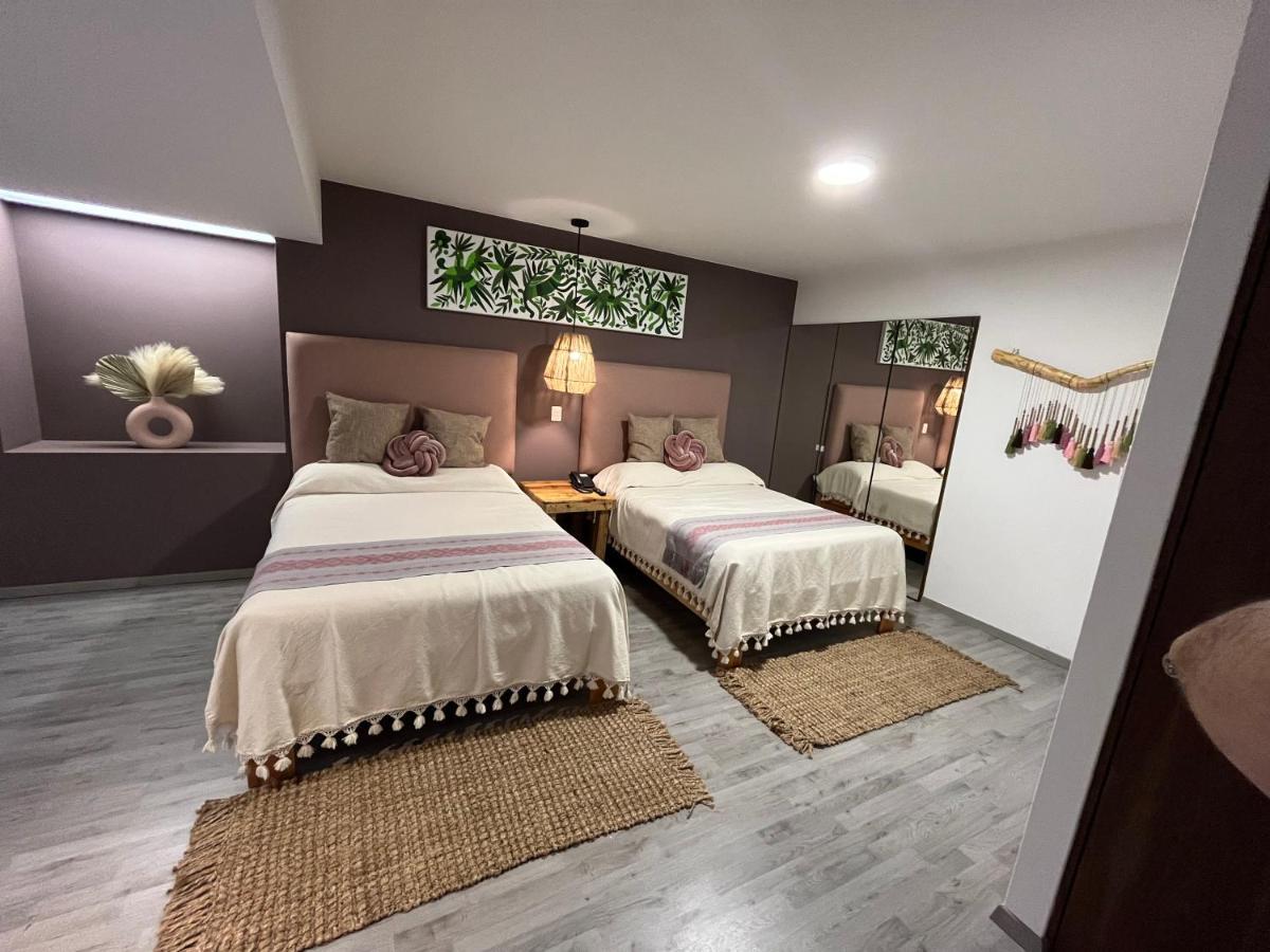 Zen Suites By Regente Oaxaca Dış mekan fotoğraf