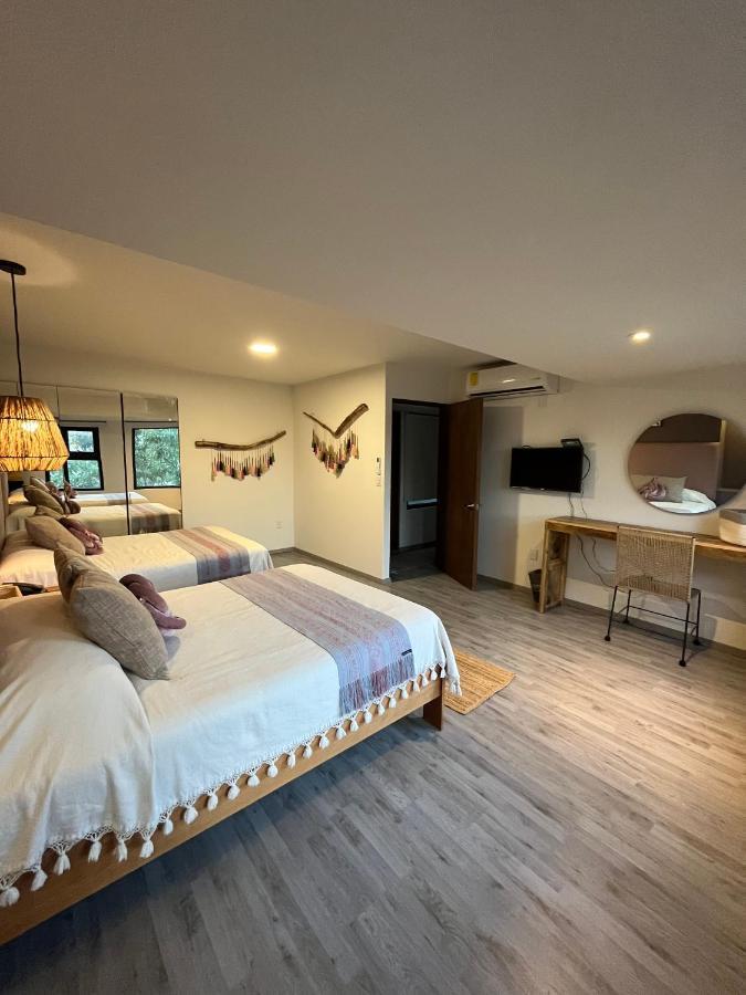 Zen Suites By Regente Oaxaca Dış mekan fotoğraf